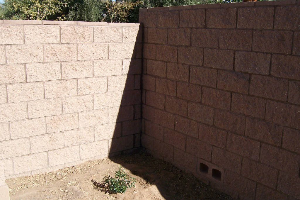 8x8x16 block wall